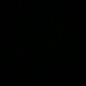 Meet your Posher, Ray